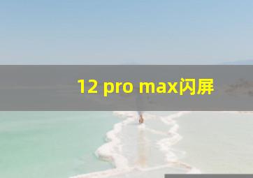 12 pro max闪屏